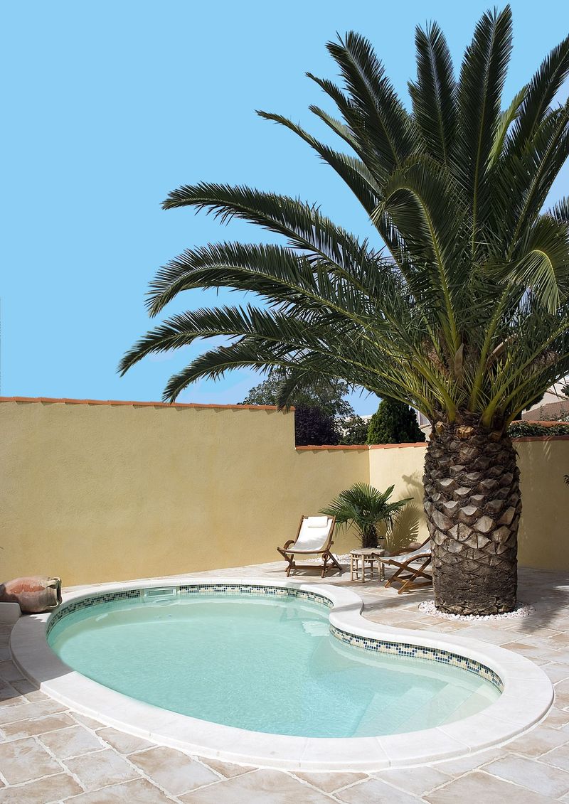 piscine en polyester forme HARICOT palmier et aménagement