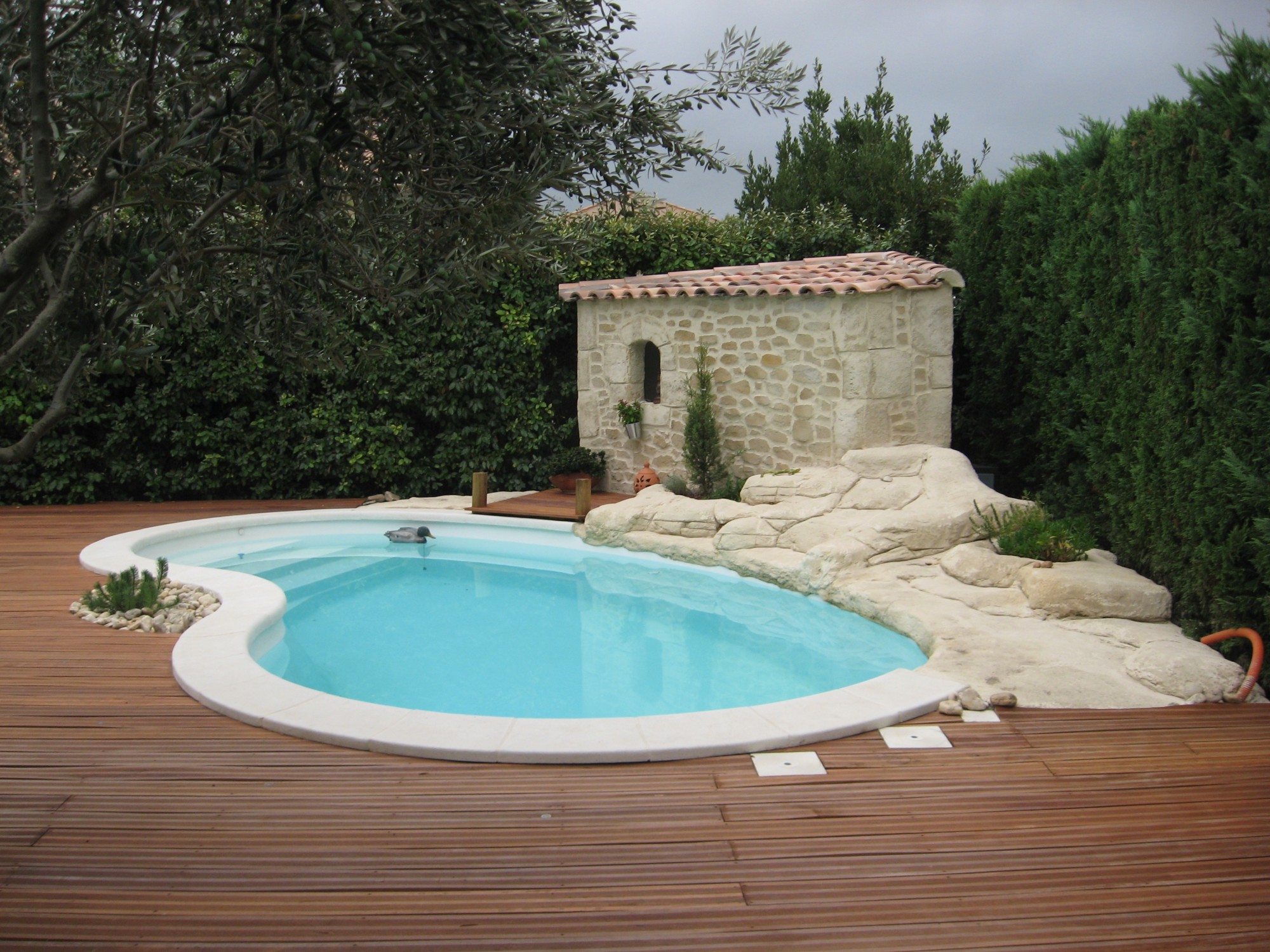 Piscine 6X3 forme haricot avec pose à Arles