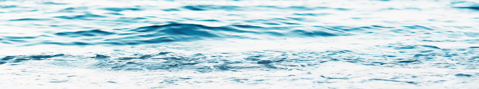 Piscines avec couverture immergée